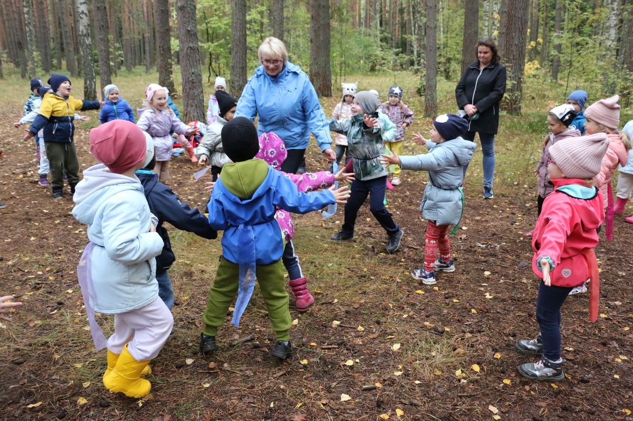 Forest здоровье